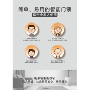 JH-G10 se智能门锁